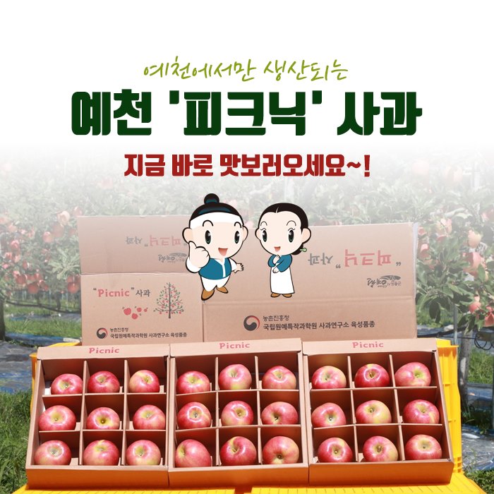 4.예천에서만 생산되는 '피크닉' 사과